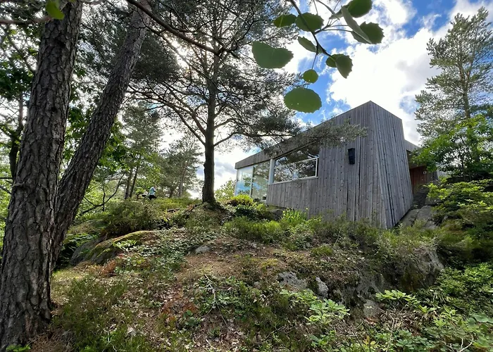 Architect-designed With Fjordviews 度假居 *